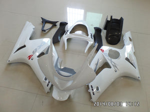 ZX 6R 2003 2004 ALL WHITE WITH SILVER DECALS